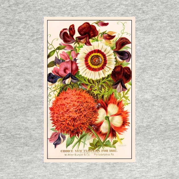 Burpee & Co Flower Seeds, 1887 by WAITE-SMITH VINTAGE ART